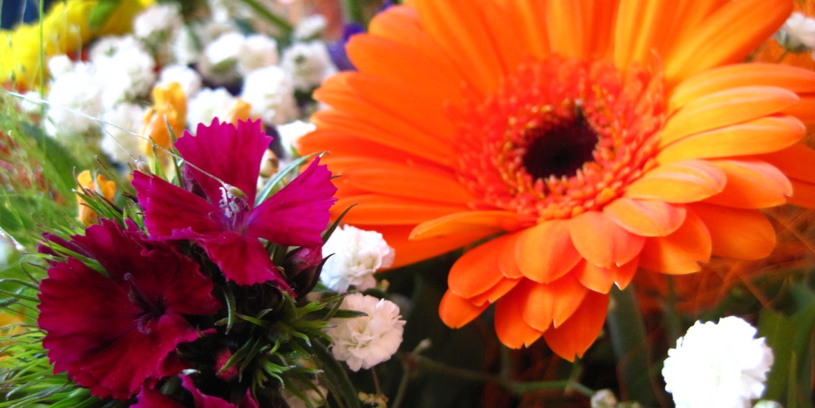 Heuschnupfen mit Augentropfen behandeln