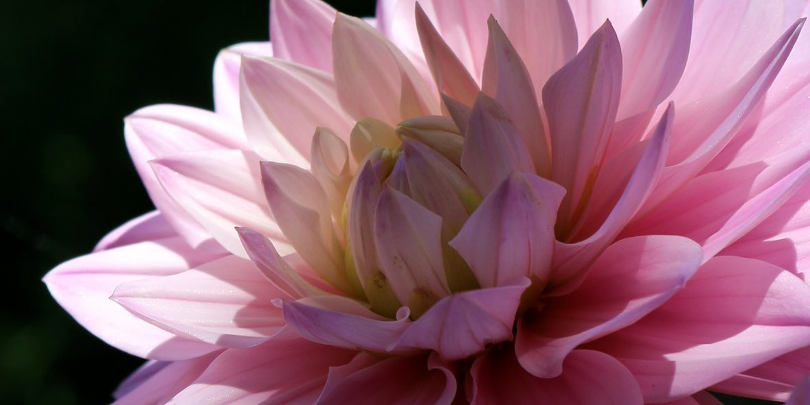 Allergie Augentropfen und Mastzellenstabilisatoren Allergie Augentropfen und Mastzellenstabilisatoren