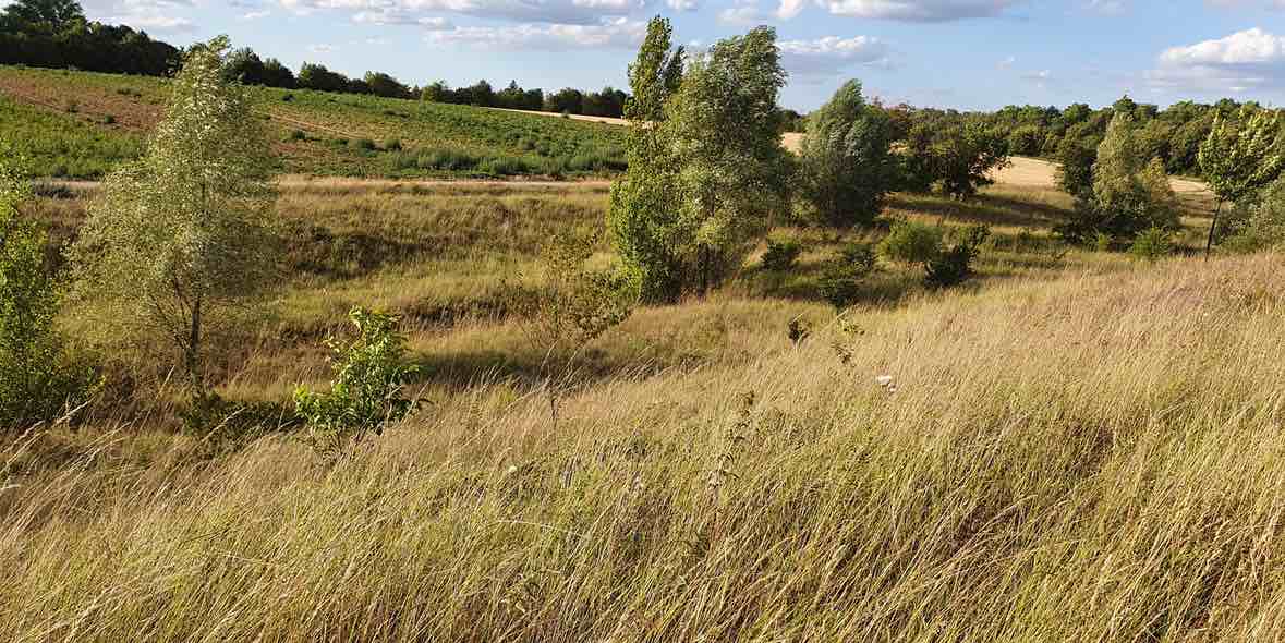 Heuschnupfen mit Augentropfen akut behandeln