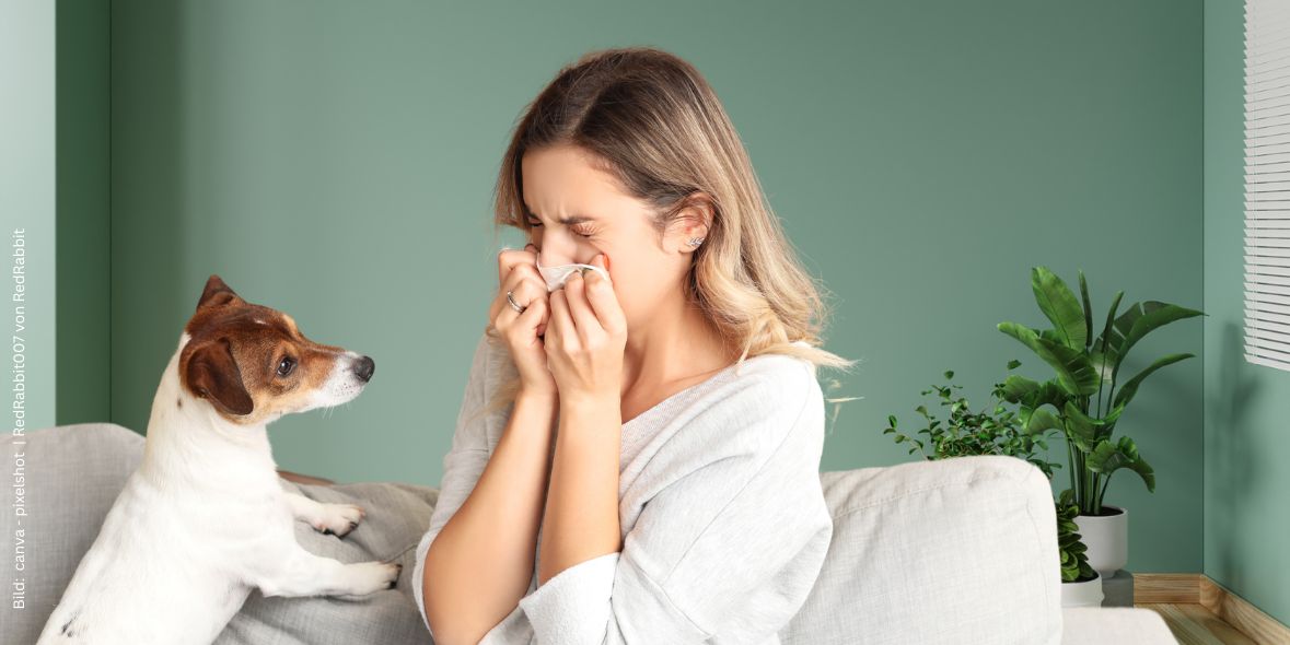 Vor einem Grünen Hintergrund sitzt eine niesende Frau mit Taschentuch, daneben ein Hund zum Thema Hundeallergie - welche Augentropfen helfen.