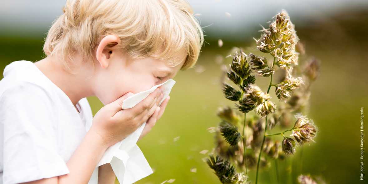 alles-wichtige-rund-um-allergie-bei-kindern Junge mit Allergie niest in ein Taschentuch und in Übergröße ein blühender Grashalm, der Pollen verliert zum Thema Alles wichtige rund um Allergie bei Kindern