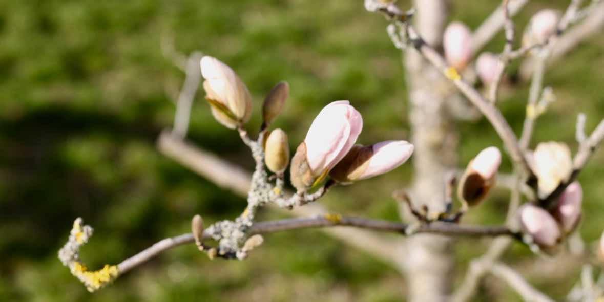 Antiallergischen Augentropfen auf Rezept Antiallergischen Augentropfen auf Rezept