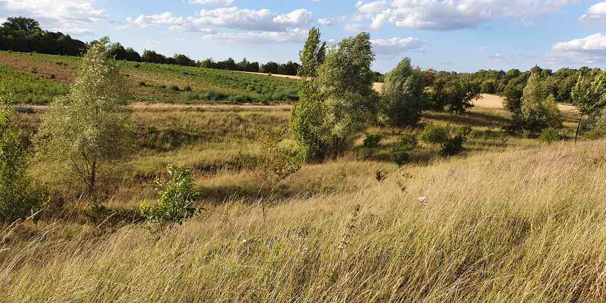 Augentropfen bei Heuschnupfen Augentropfen bei Heuschnupfen