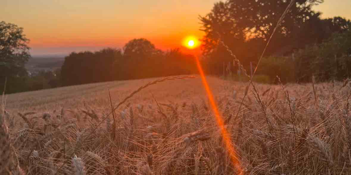 Erst Diagnostik dann Augentropfen bei Allergie Erst Diagnostik dann Augentropfen bei Allergie