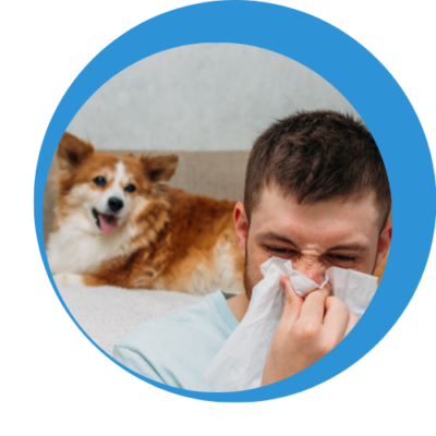 Mann schnäuzt sich die Nase mit einem Hund im Hintergrund zum Thema Tierhaarallergie