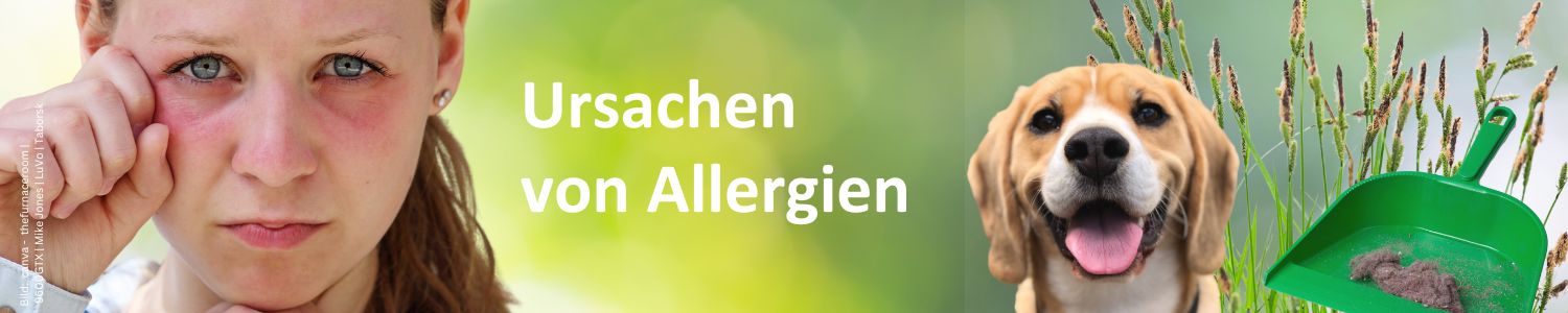 Banner mit Beschriftung: Ursachen von Allergien mit Motiv Junge Frau mit Allergiesymtomen an den Augen. Seitlich im Hintergrund blühende Gräser, ein Hund und eine grüne Kehrschaufel mit Hausstaub