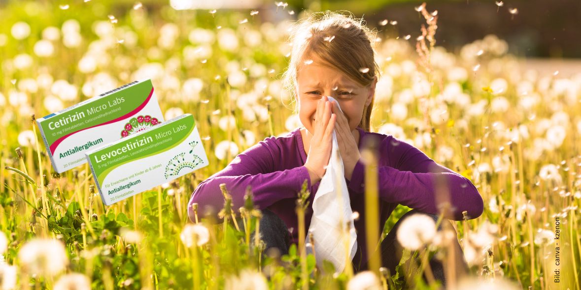 Mädchen sitzt niesend mit Taschentuch in einem Pusteblumenfeld. im Vordergrund Verpackungen von Micro Labs Cetirizin und Levocetirizin zum Thema Tabletten bei Heuschnupfen